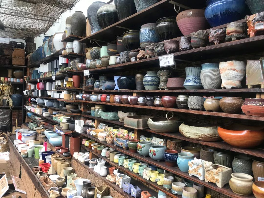 花色撩人，亲测德阳这两家花市，“花chi”去了就不想出来！