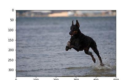 四个任务四张图,深度神经网络模型和认知大模型