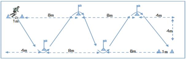 阜阳市三区中考体育具体时间、地点公布！速度转发