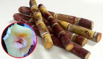 比毒蛇还毒？这种食物清明前后大量上市，好多湖南人特别爱吃…