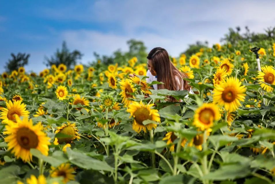 广大附中（河源）巴伐利亚实验学校、国际足球基地、大湾区房车营地、粤北“千村”集市等五大项目建设、合作签约活动