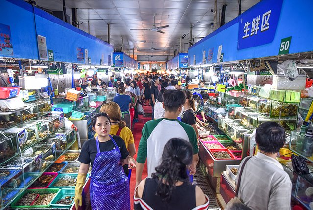 三亚风情街网红打卡地,四川去三亚5天4晚自由行网红打卡