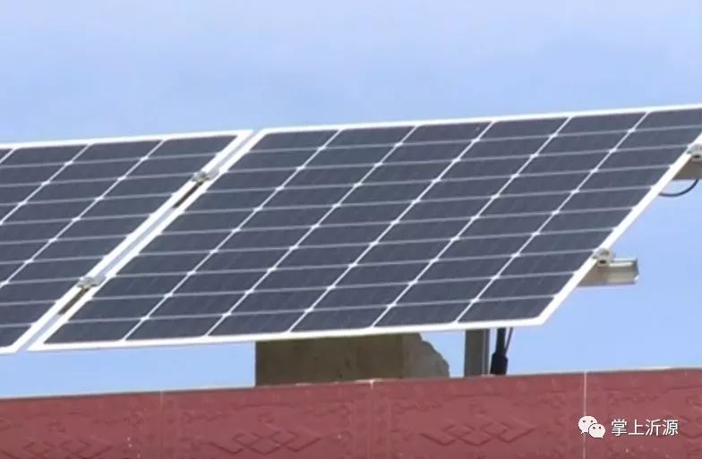 这个村的“阳光绿伞”真不赖，分分钟能赚钱！