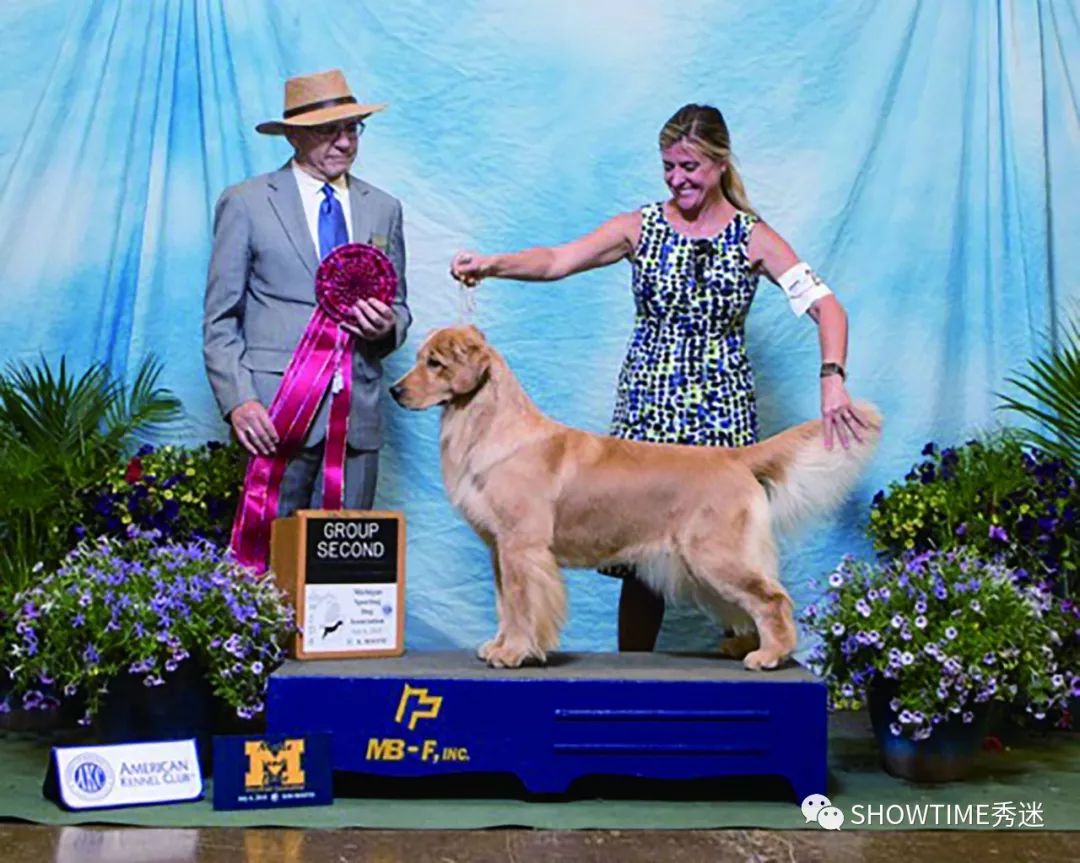 Elyn：非常安静内向的……野姑娘。|犬学知识专业版封面故事