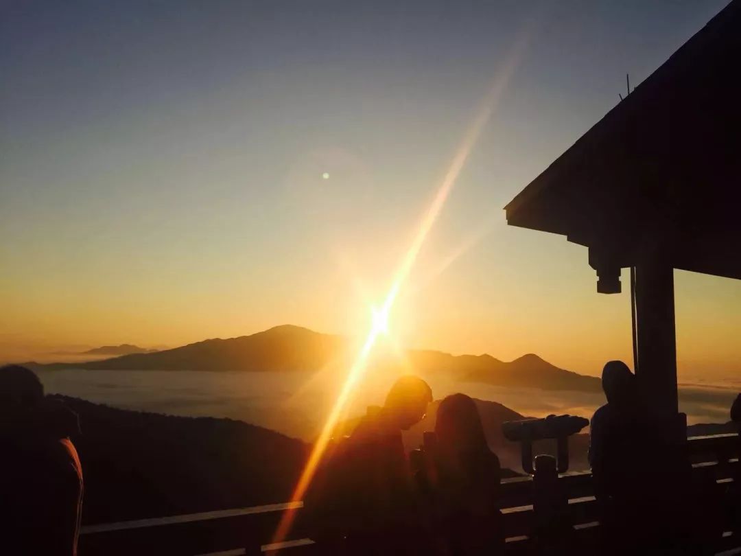 集装箱式民宿推荐,福建特色树屋民宿度假屋结构