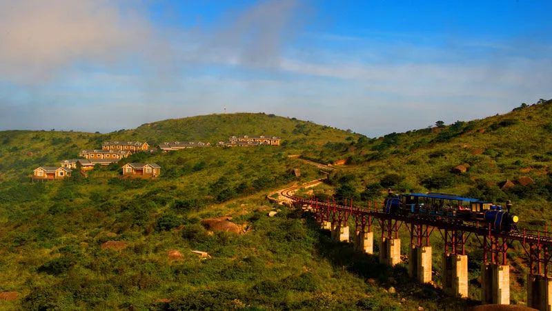 集装箱式民宿推荐,福建特色树屋民宿度假屋结构