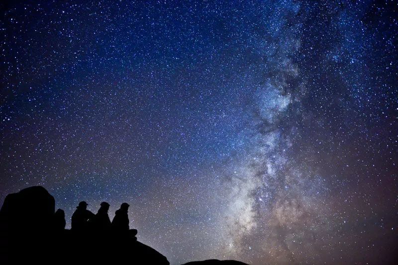 集装箱式民宿推荐,福建特色树屋民宿度假屋结构
