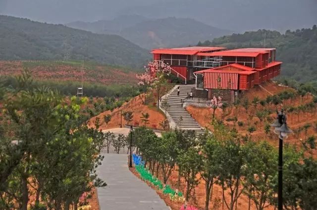 集装箱式民宿推荐,福建特色树屋民宿度假屋结构