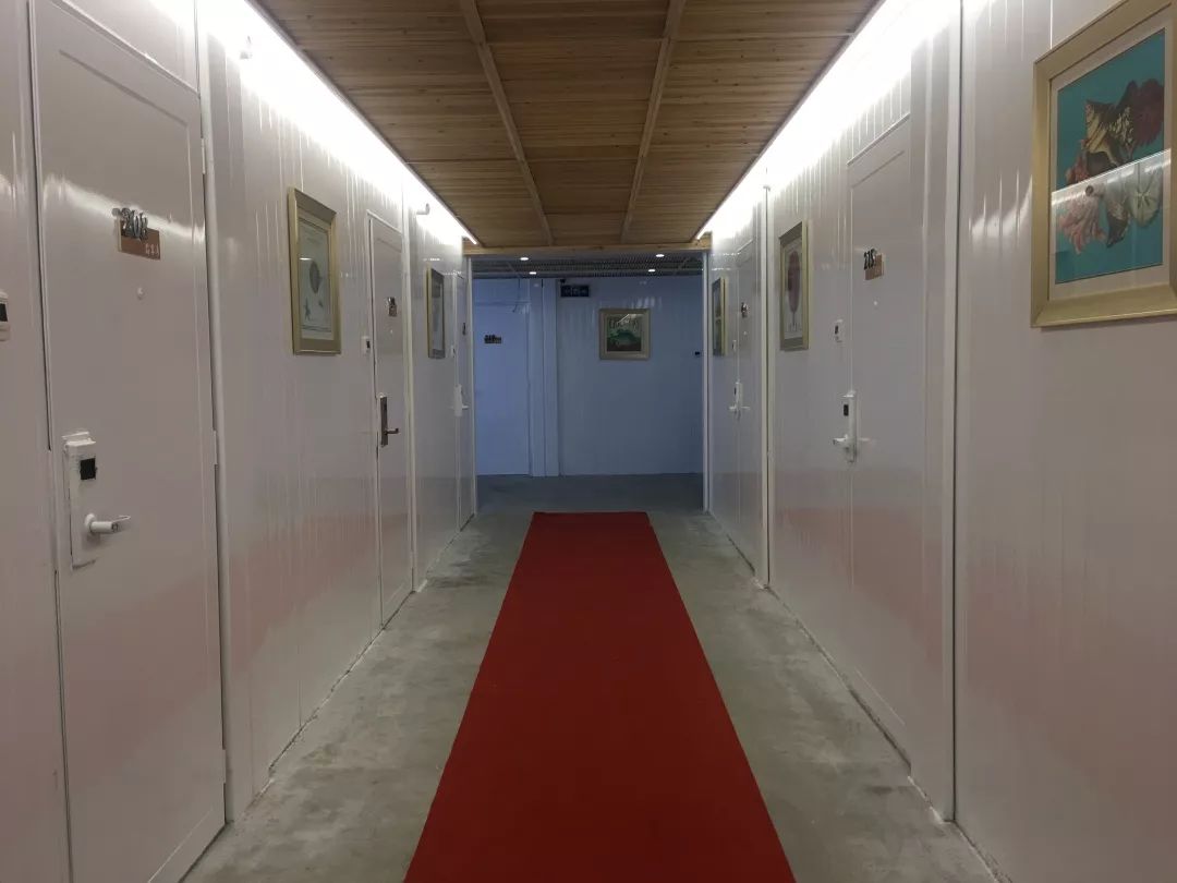 集装箱式民宿推荐,福建特色树屋民宿度假屋结构