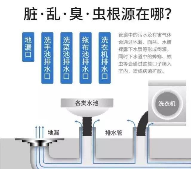 卫生间厨房反臭味,厨房洗菜池下水道有臭味怎么办