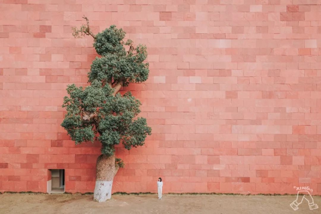 杭州网红地标建筑,杭州标志性建筑拍照