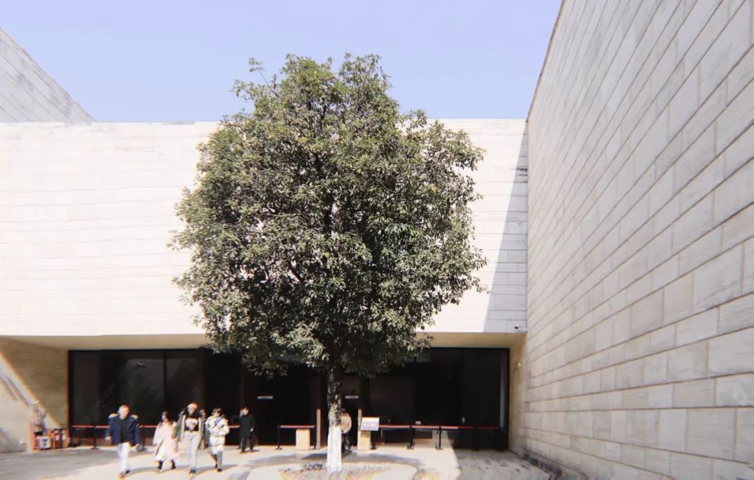 杭州网红地标建筑,杭州标志性建筑拍照