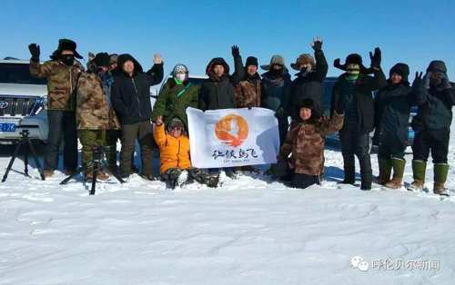 蒙古雕鸮,大鸟雕鸮