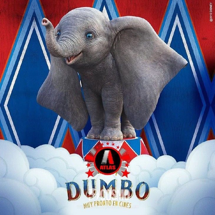 周迅这次种草的包包只要300块，可以拔