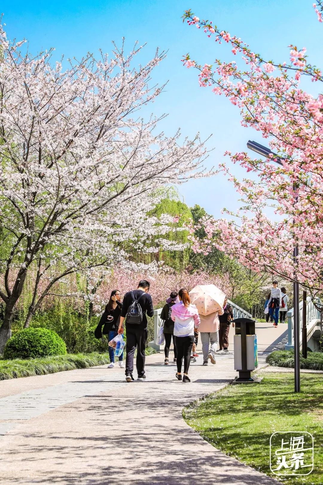 吵翻了！魔都16区终于正面PK！哪个是你心中的C位担当？