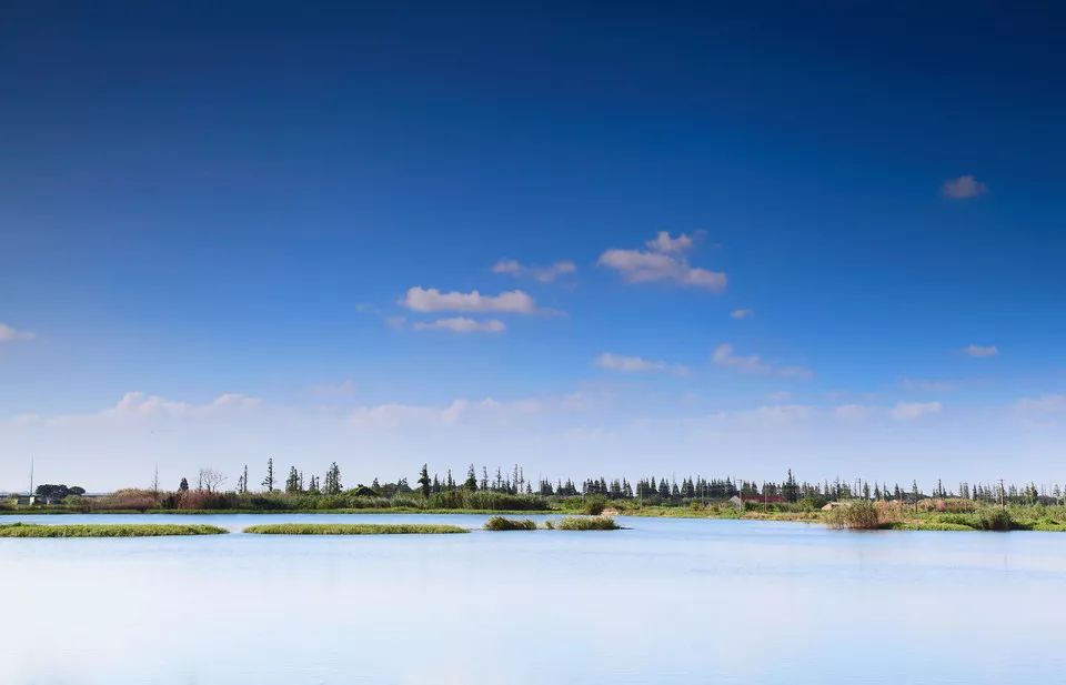 吵翻了！魔都16区终于正面PK！哪个是你心中的C位担当？