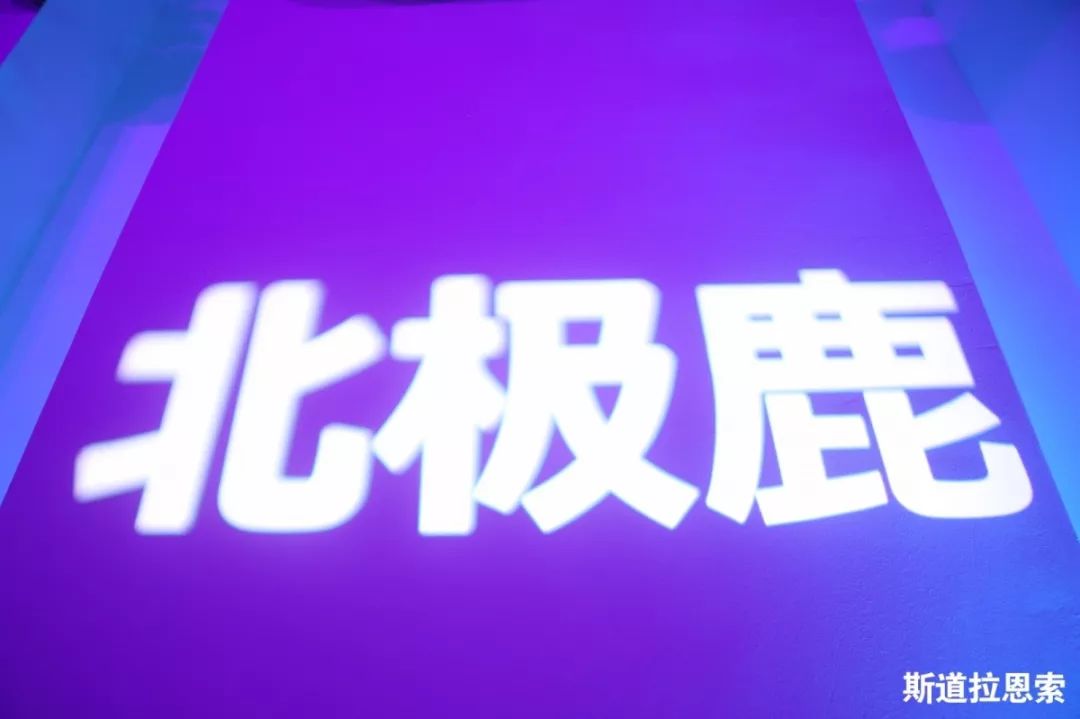 斯道拉恩索“北海制造”新品北极鹿™在上海隆重亮相