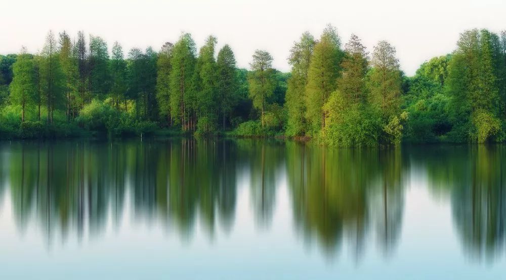 免票或半价！全国几百个景区集体降价，河南有这些…千万别错过！