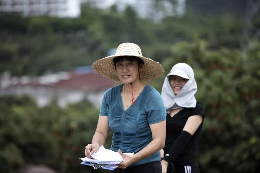 情根深种百科,情根深种