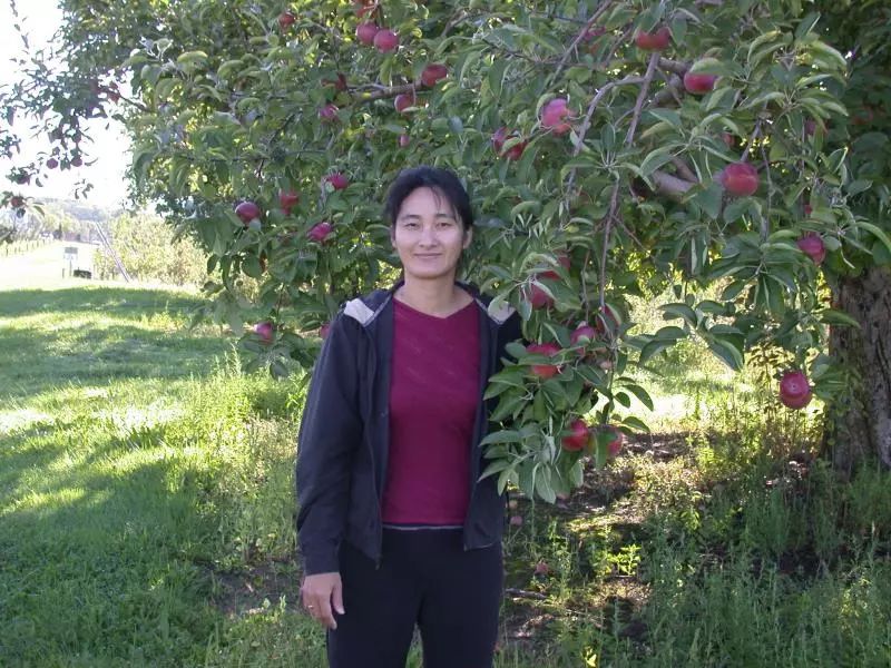 情根深种百科,情根深种