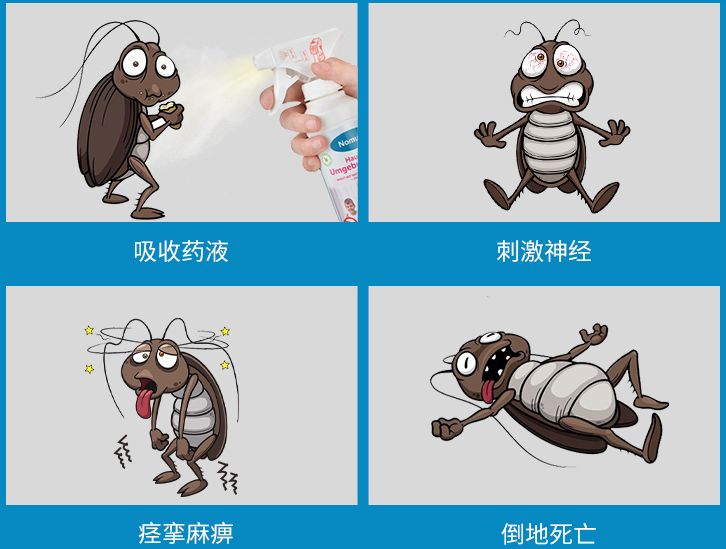 教你一招不仅能消灭蟑螂还卫生,如何灭蟑螂且不用药