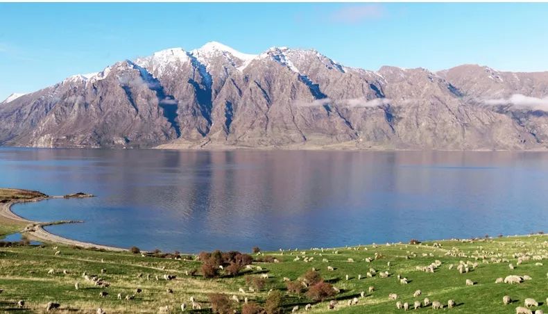 【3折抄底】身体清洁专场：进口、大牌、低至9.9包邮。喜欢干净漂亮的你～