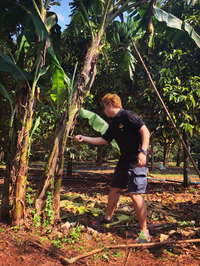 胖粑粑也有春天！这些潮爆的大码原单男装店，快给孩子爸看|二宝爸淘货