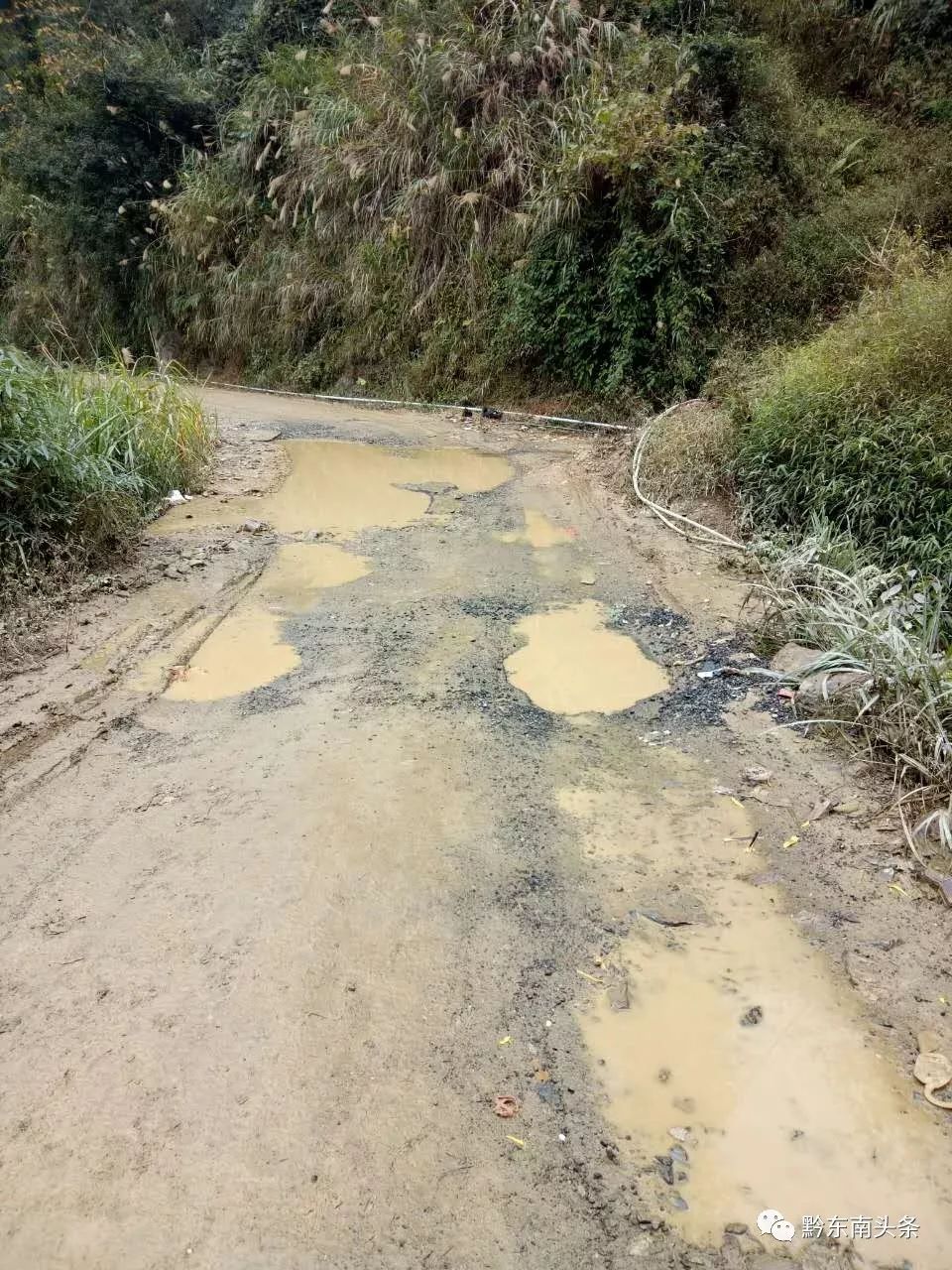 爱在苗乡芦笙版,爱在苗乡黔东南