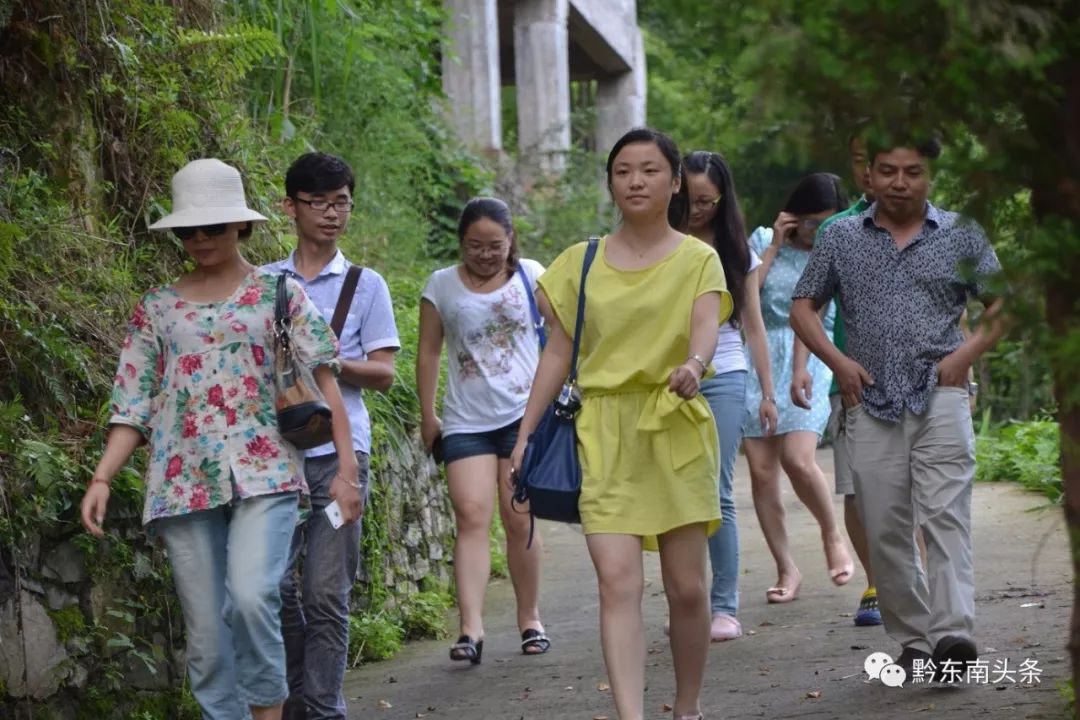 爱在苗乡芦笙版,爱在苗乡黔东南