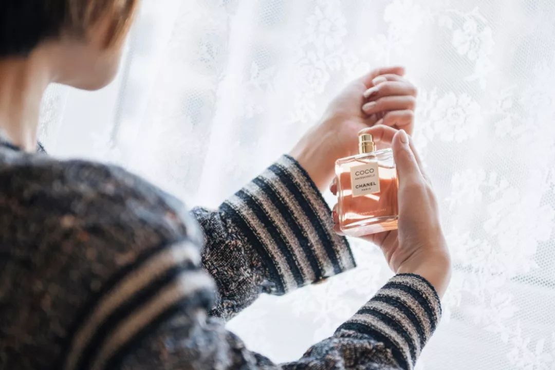 寻找香奈儿,用鼻子闻气味找对象