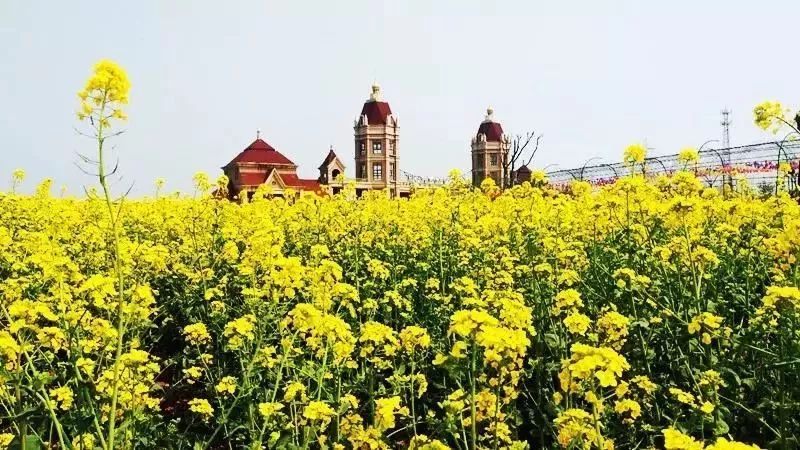 免票或半价！全国几百个景区集体降价，河南有这些…千万别错过！