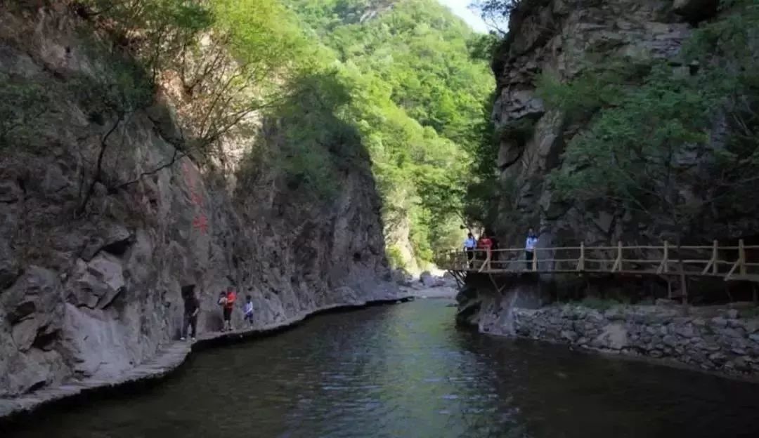 免票或半价！全国几百个景区集体降价，河南有这些…千万别错过！