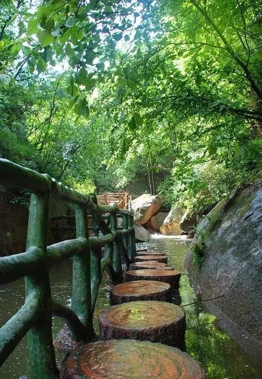 免票或半价！全国几百个景区集体降价，河南有这些…千万别错过！