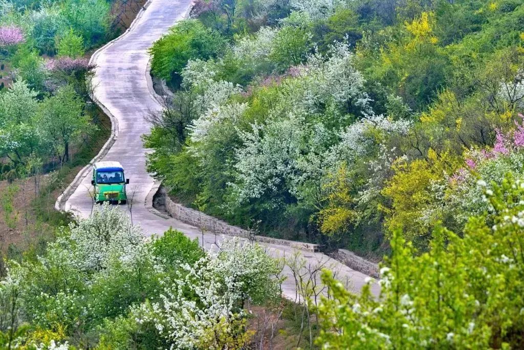 免票或半价！全国几百个景区集体降价，河南有这些…千万别错过！