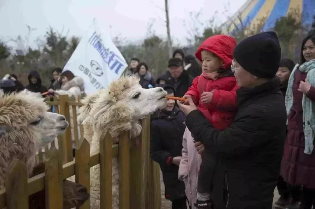 免票或半价！全国几百个景区集体降价，河南有这些…千万别错过！