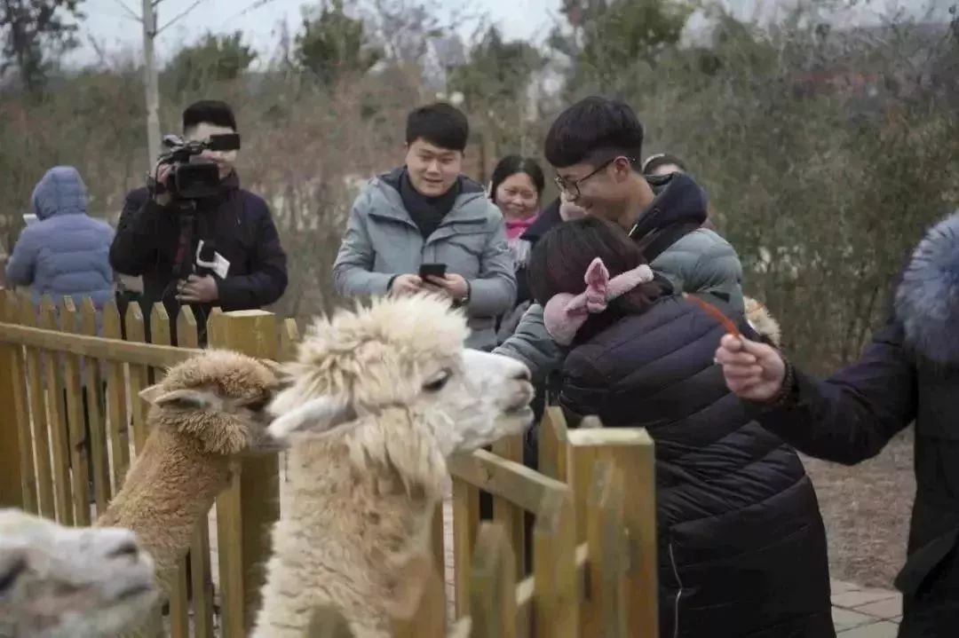 免票或半价！全国几百个景区集体降价，河南有这些…千万别错过！