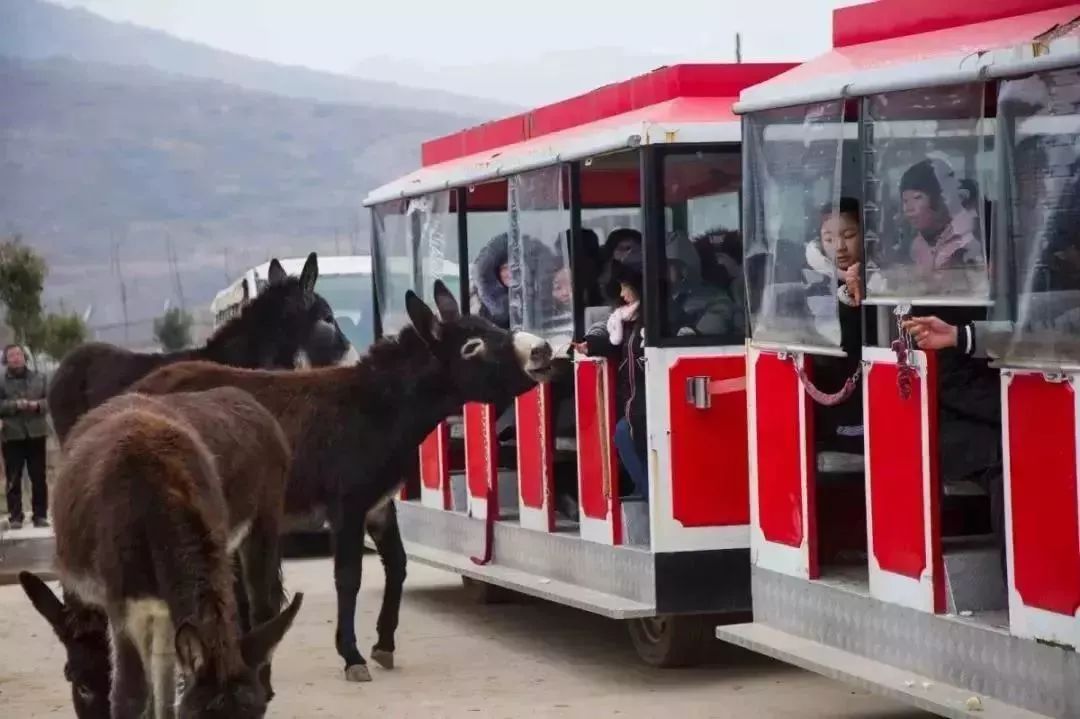 免票或半价！全国几百个景区集体降价，河南有这些…千万别错过！