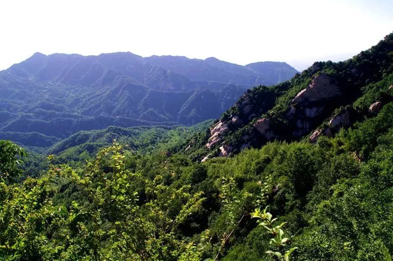 免票或半价！全国几百个景区集体降价，河南有这些…千万别错过！