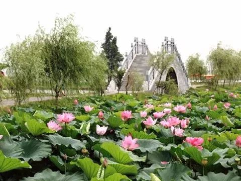 免票或半价！全国几百个景区集体降价，河南有这些…千万别错过！