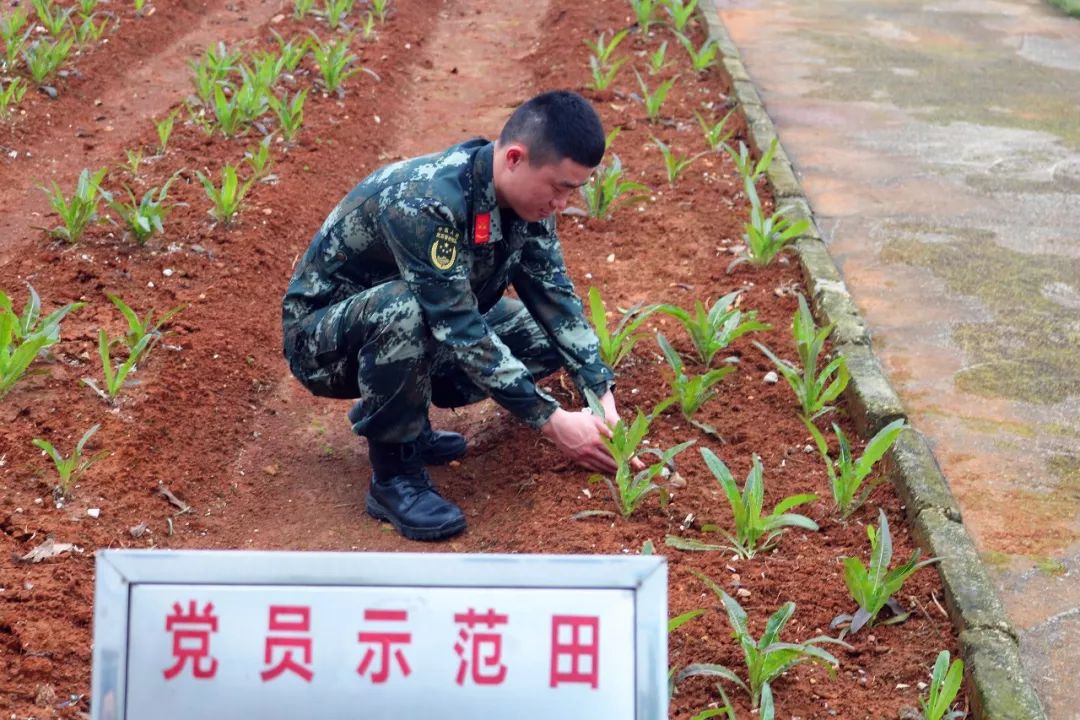 在部队当班长该怎么做,在部队当班长会很累嘛