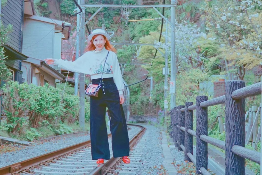 樱花季快到了赴日赏樱,樱花季太湖鼋头渚风景区赏樱攻略