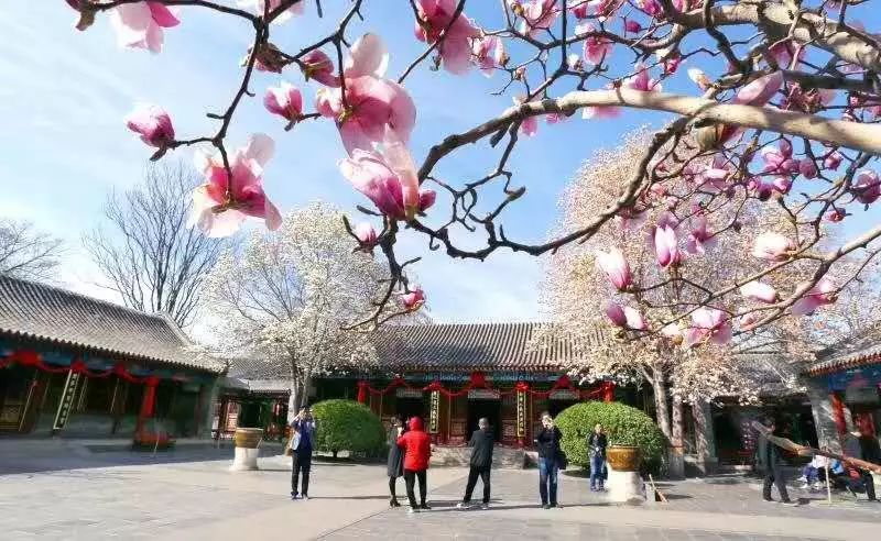 清明节正定赏花游攻略,正定清明踏青好去处