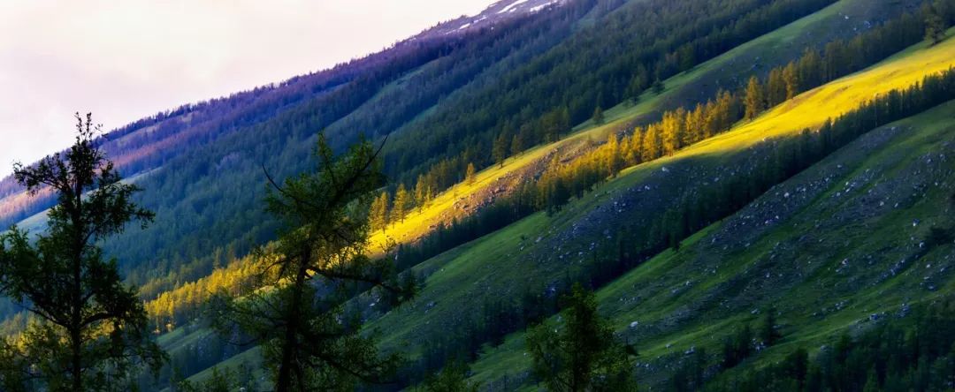 （必看速知）2019年喀纳斯景区·喀旅股份春夏秋最新优惠政策出炉，更深度地喀纳斯秘境极致旅行体验。