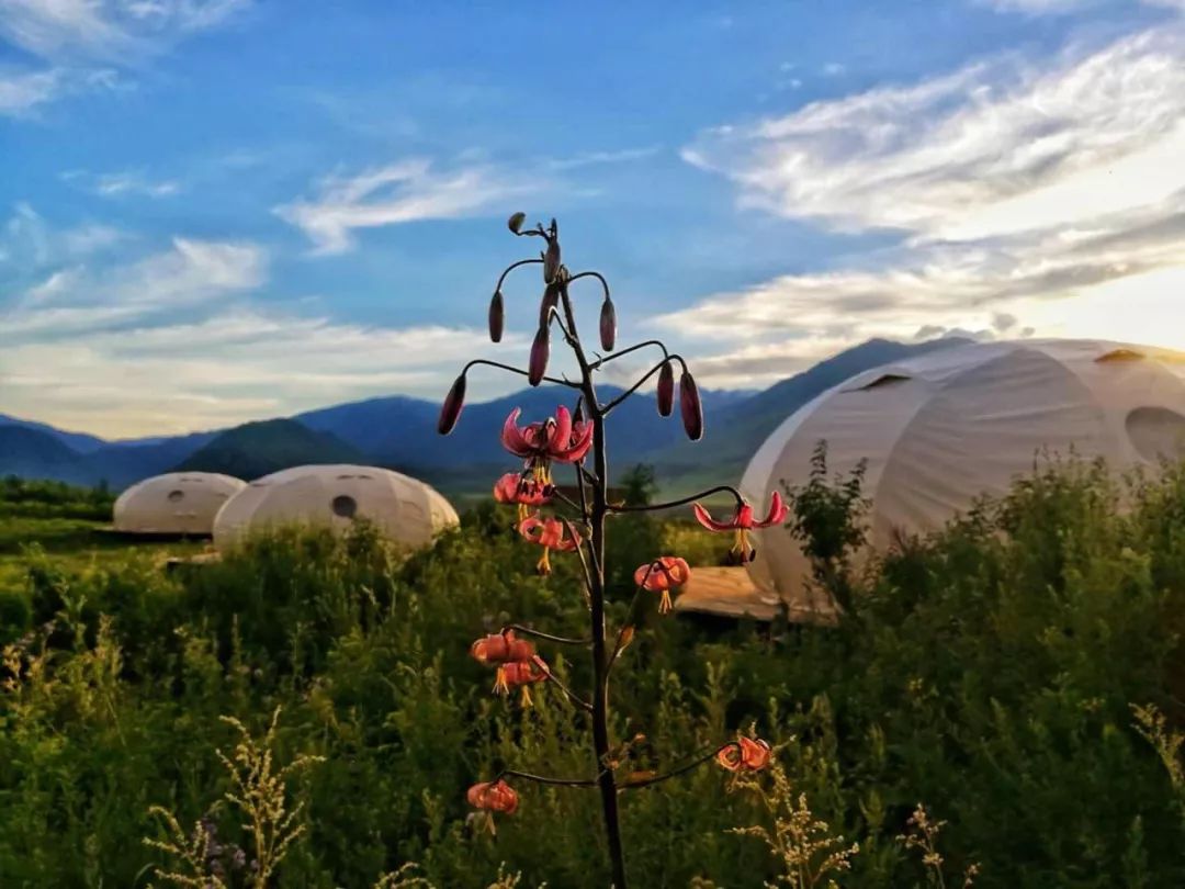 （必看速知）2019年喀纳斯景区·喀旅股份春夏秋最新优惠政策出炉，更深度地喀纳斯秘境极致旅行体验。