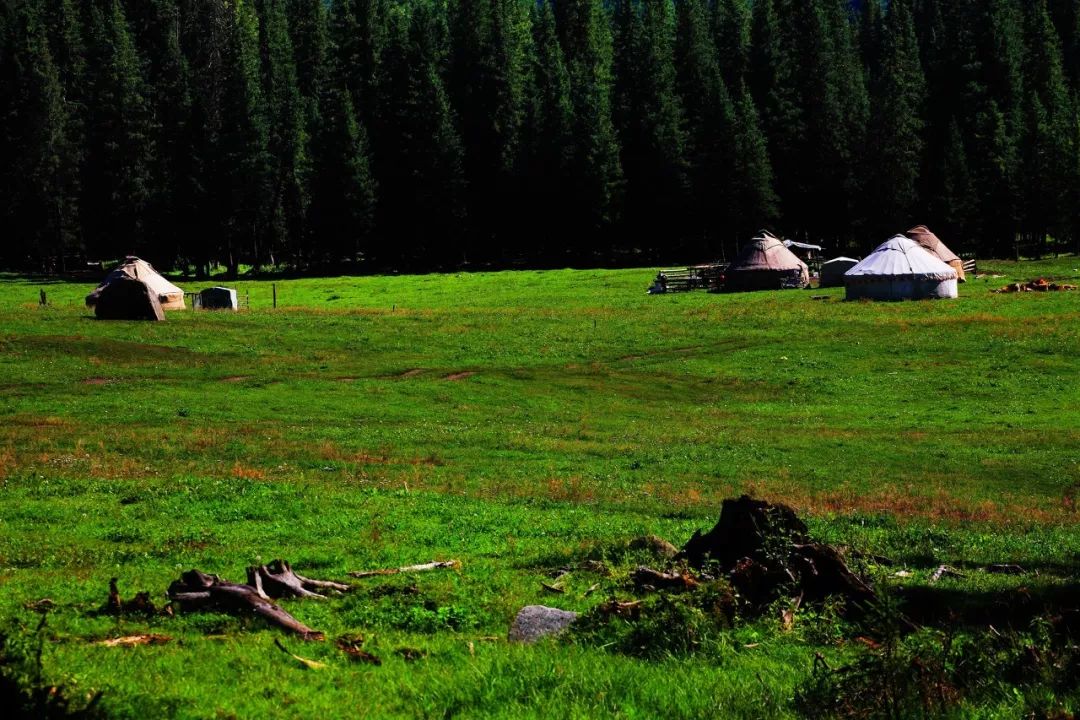 （必看速知）2019年喀纳斯景区·喀旅股份春夏秋最新优惠政策出炉，更深度地喀纳斯秘境极致旅行体验。