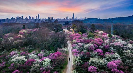 这座让文化人好感度爆棚的城市，你赢了！