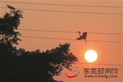 白鹭天堂在哪里,白鹭天堂怎么样