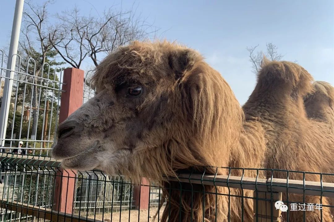 西安一个神奇的公园,西安市最值得去的免费公园景点