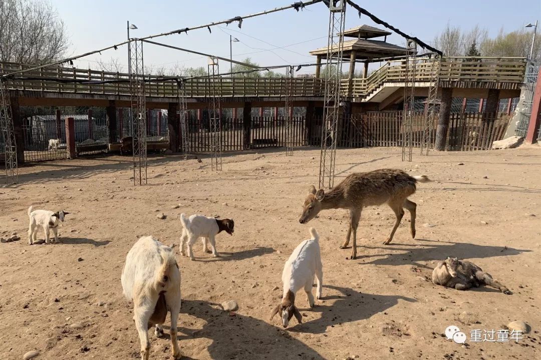 西安一个神奇的公园,西安市最值得去的免费公园景点