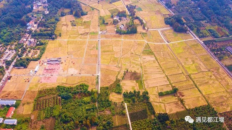 国庆都江堰怎么玩,去都江堰玩啥最好看的攻略图解